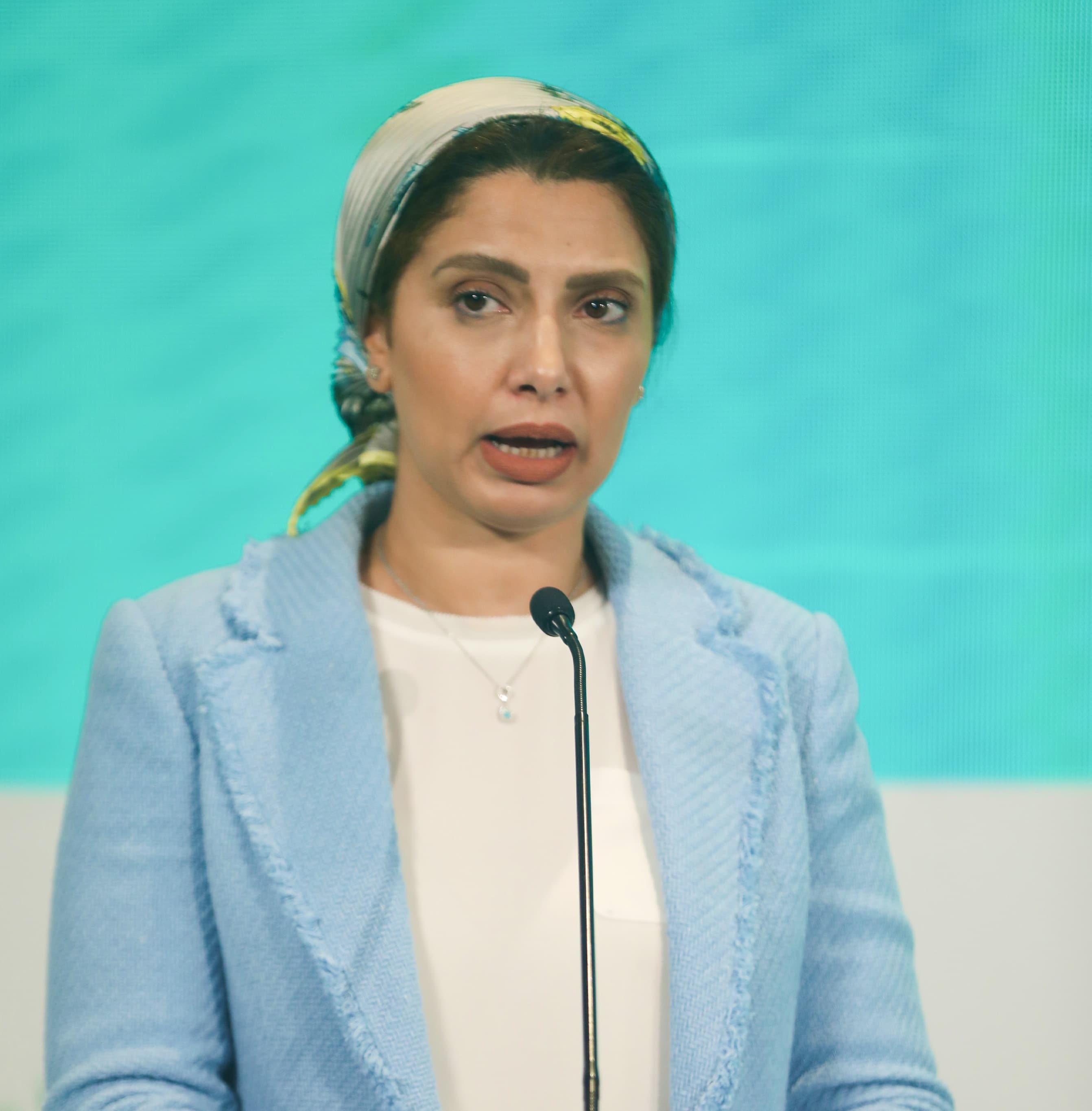 سعادة الأستاذة 
هدى البكر